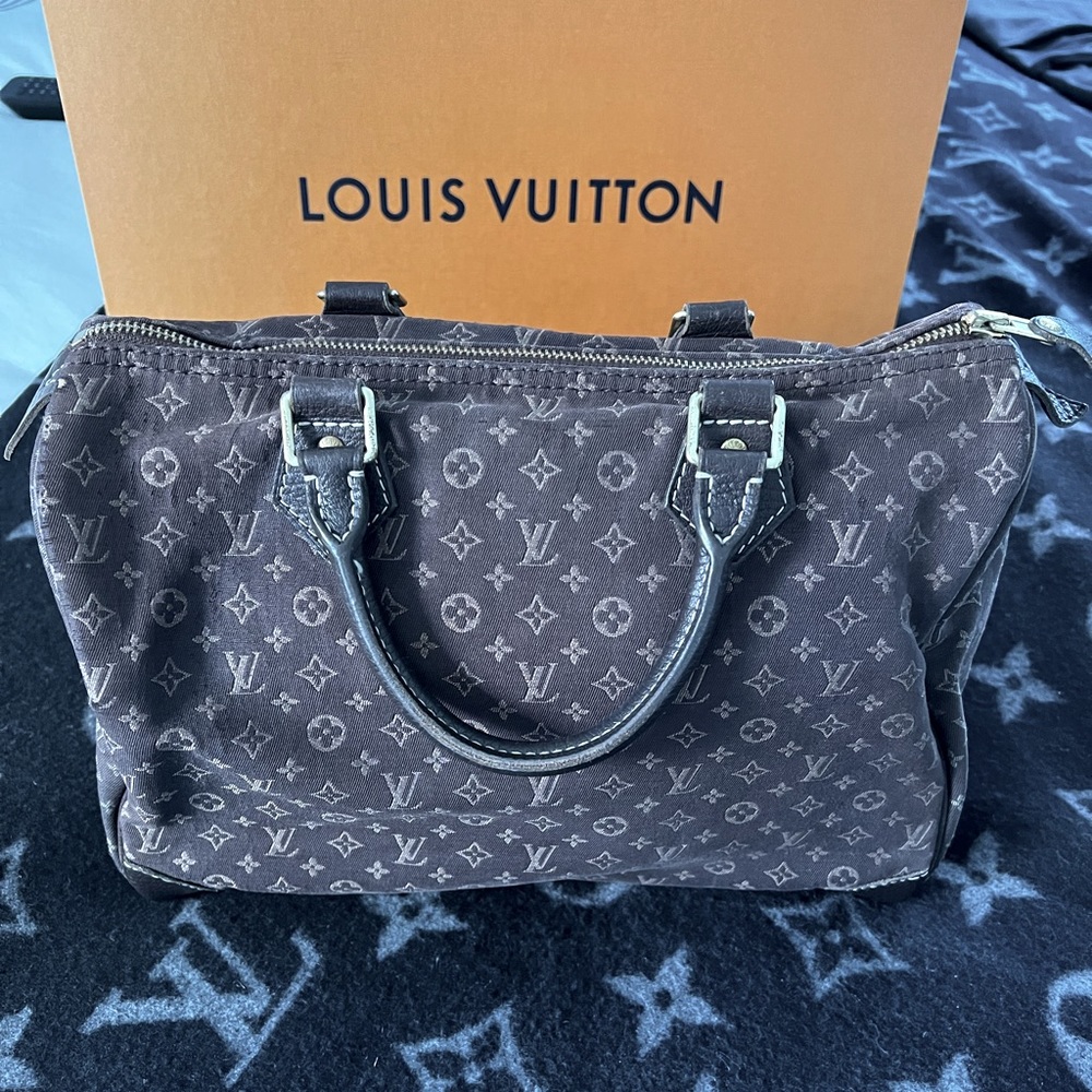 Louis Vuitton Monogram Mini Lin Speedy 30